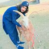 wajidafridi422