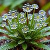 thandar80901
