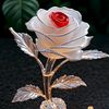 soginch_2
