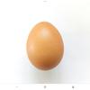 egg5868