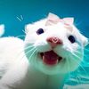 taylor.swift_lover17