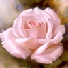 maryem.maryem346