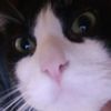 userb27czp9jwl