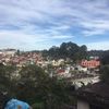 berthaarteaga09