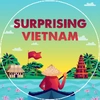 surprisingvietnam