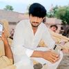 sulman.jan302