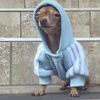 bonko.jr