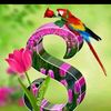 shahid.shorkar