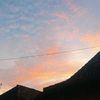 fizz_4545