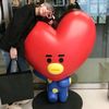 lemon_tae3012