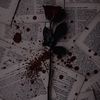 dark_rose16.9