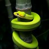 sssnake.1m