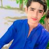naseeballahlashari