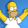 memes.homero.doh