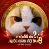 meomeobietbayyxinchaoo