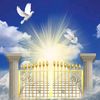 paul.silas72
