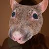 blondrat_04