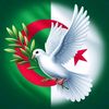 nabilleroi44gmail.com