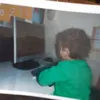 william.de.silva74