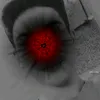 .31354082