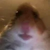 user.12348123