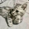 ♕♡༺مـسـآفآت༻♡♕