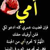 user223770524633
