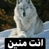 user22619956273941
