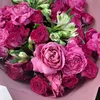 samir.surendrass