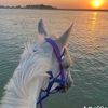 fahad13765
