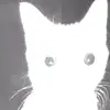 kurt_3323