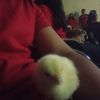 nanasiuuuuuu