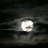 islamic_video