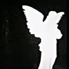 zori.dahood