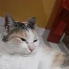 luizamaria6780