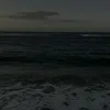 yan3lla_ggn