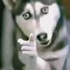 jaksonj0