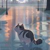 xxwandering_catxx