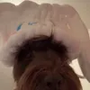 jkgawp