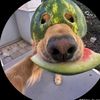 luis12.com03