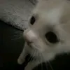potrahaemsyaaaaa