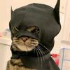 batgirlstarrynight