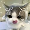 ps_dini