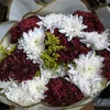 aya.samir793