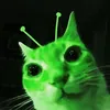 711212_
