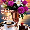 user998285030538