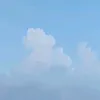 nguynnhung4957