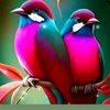 md.jamiel06