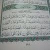 halim.halim5049