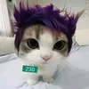pacleb2